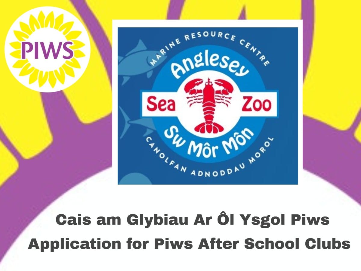 Newsletter Picture of Anglesey Sea Zoo After School Club