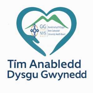 Pic Tim Anabledd Dysgu Gwynedd